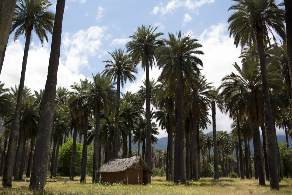 hacienda-2